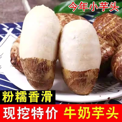 山东牛奶小芋头新鲜蔬菜粉糯红毛芋头槟榔芋当季芋艿香芋农家软糯