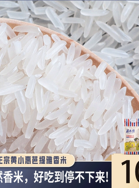 黄小惠芭提雅香米泰国风味香米