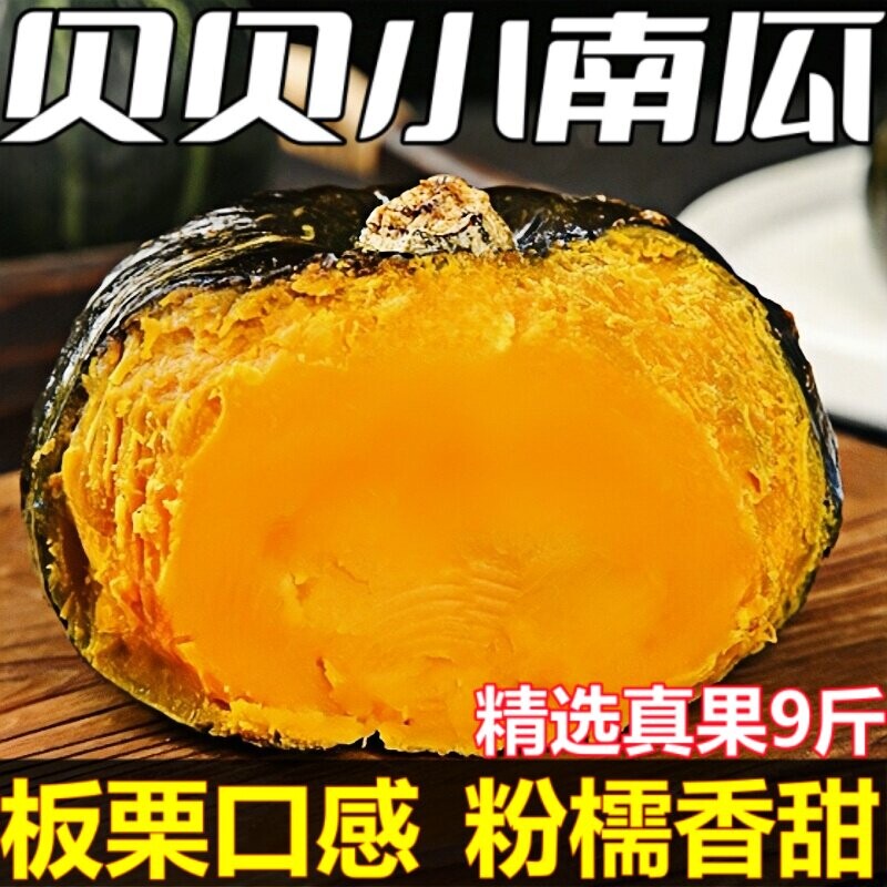 贝贝南瓜新鲜板栗味小南瓜栗面老瓜粉糯香甜正宗贝贝孕妇宝宝辅食