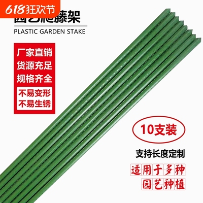 爬藤架子花支户外葡萄园