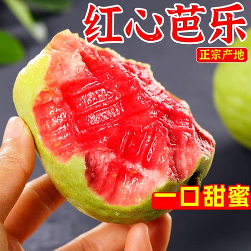 严选福建红心芭乐|超3000次加购
