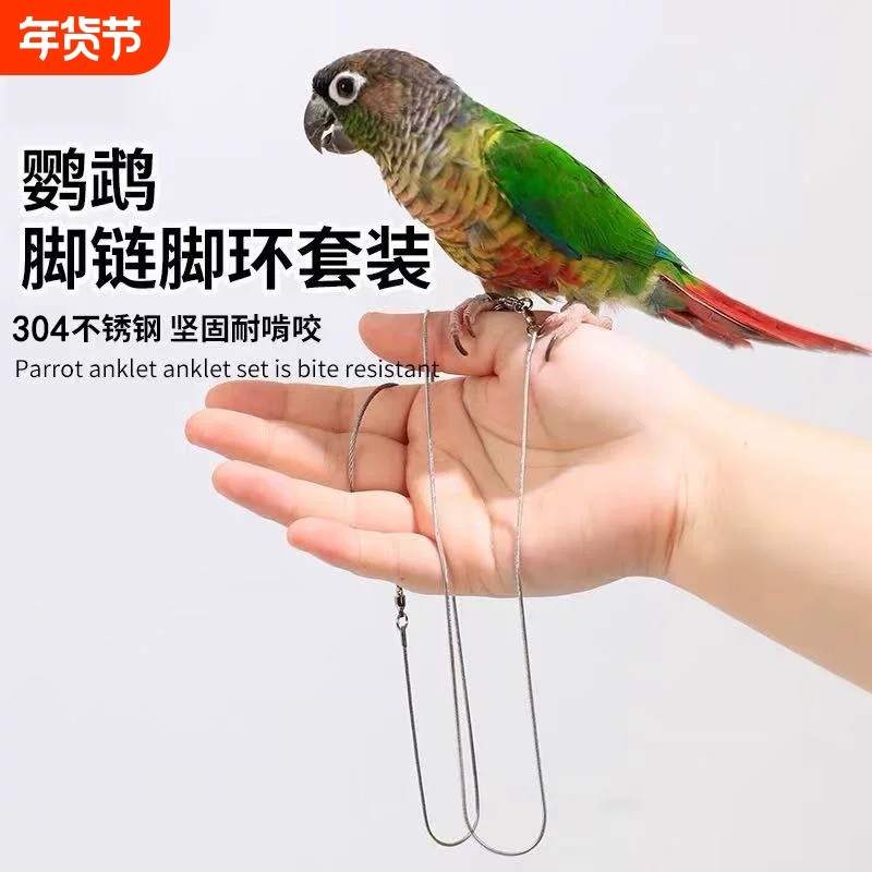 鹦鹉不锈钢脚链放飞绳牵引绳超轻不伤脚鸟用外出遛鸟绳脚环逗鸟绳