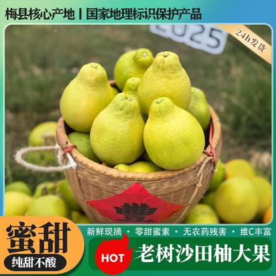 正宗梅州沙田柚广东特产梅县金柚白心肉当季孕妇新鲜纯甜特大果