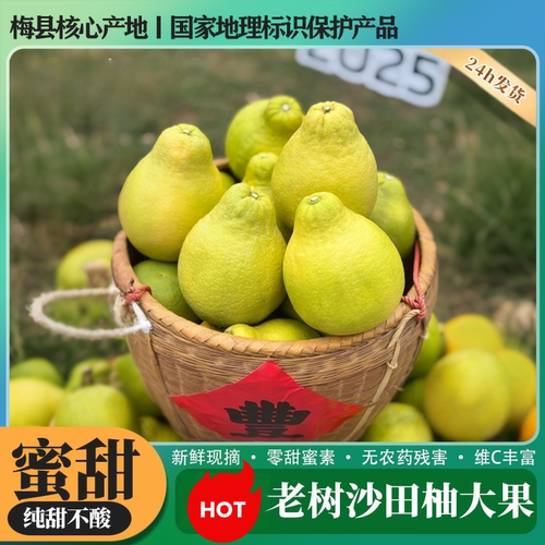 正宗梅州沙田柚广东特产梅县金柚白心肉当季孕妇新鲜纯甜特大果