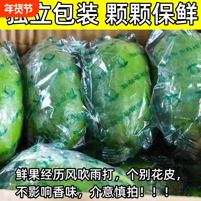 海南无籽香水青柠檬新鲜5斤子弹头当季水果薄皮小青柠奶茶店专用