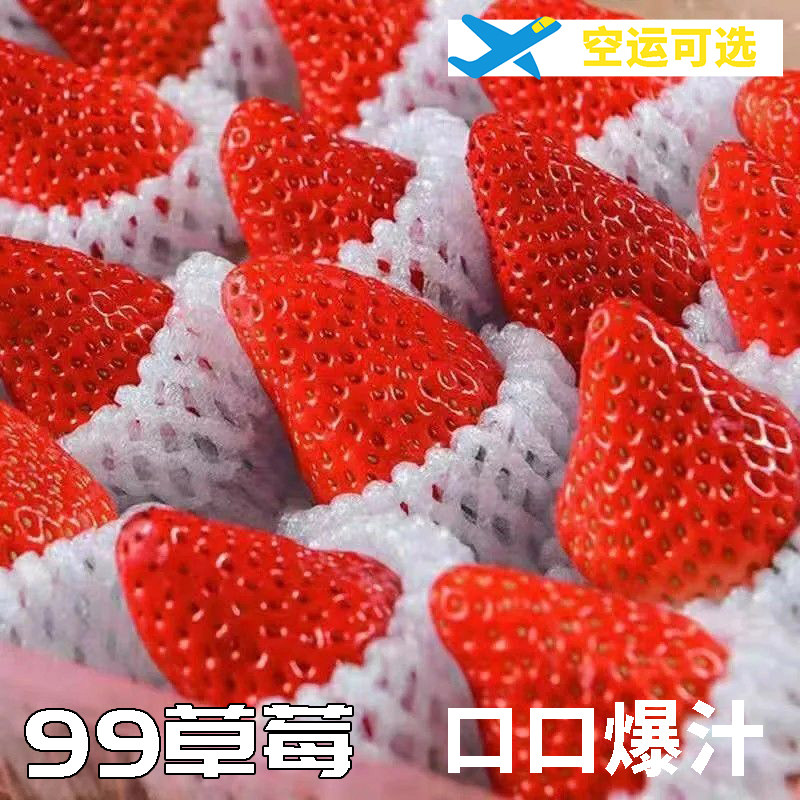 东北草莓九九草莓奶油草莓红颜果满口爆汁草莓果新鲜好吃空运到家,水产肉类/新鲜蔬果/熟食,草莓,淘宝优惠券,粉丝福利购,淘宝优惠卷