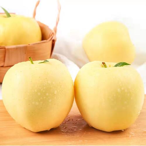 自然搭档洛川奶油富士苹果脆甜多汁皮薄肉厚黄苹果应季水果