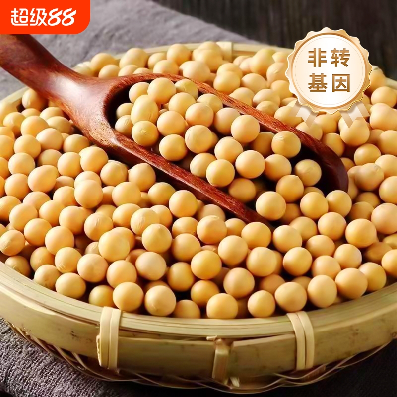 东北黄豆真空非转基因新货农家自种发豆芽专用可打豆浆煲汤煮粥