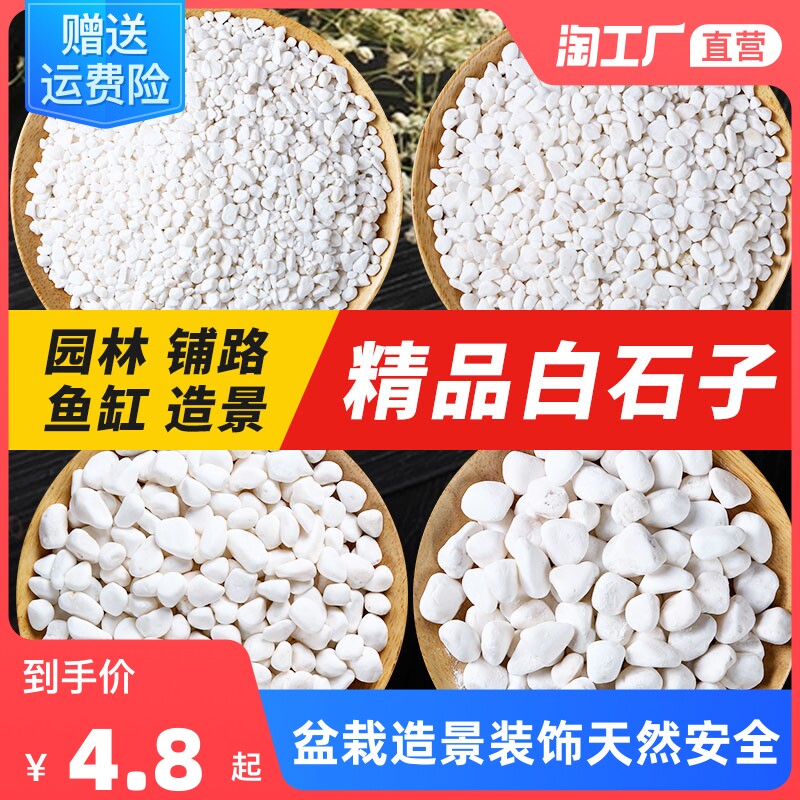 鹅卵石天然雨花石小白石子多肉铺面盆栽花盆庭院造景装饰白色石头怎么样,好用不?