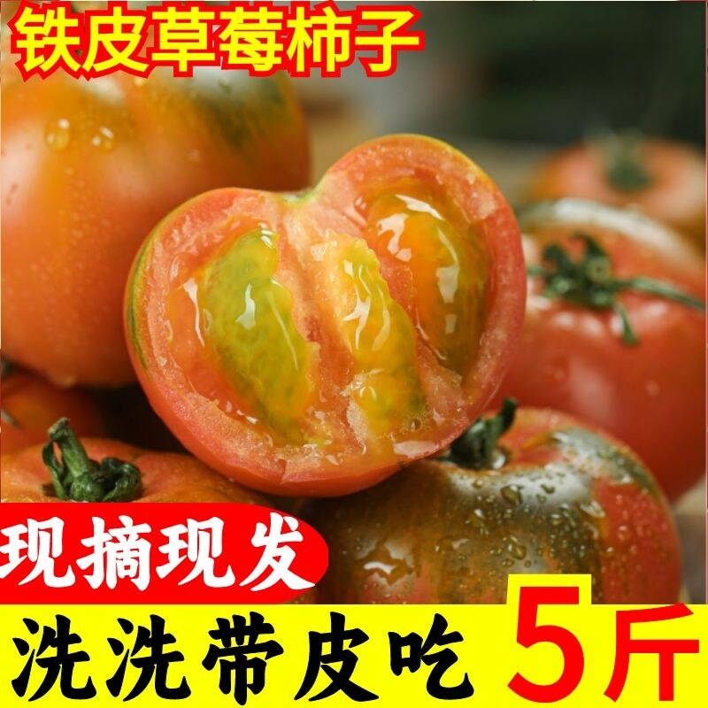 丹东铁皮柿子草莓柿子碱地番茄油柿子灯笼果美味果实新鲜顺丰包邮