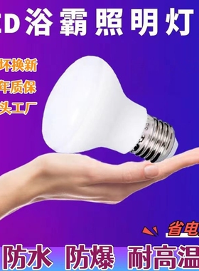 浴霸中间照明灯泡LED光源E27螺口7W白光R63型防水防爆超亮卫生间