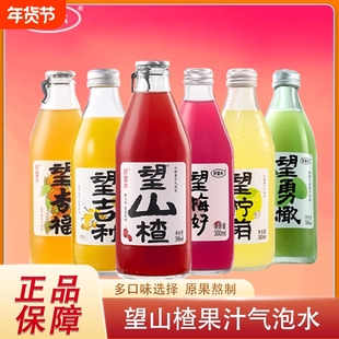 好望水望山楂气泡水饮料望杏福柠檬梅好结婚订婚伴手礼果汁饮品