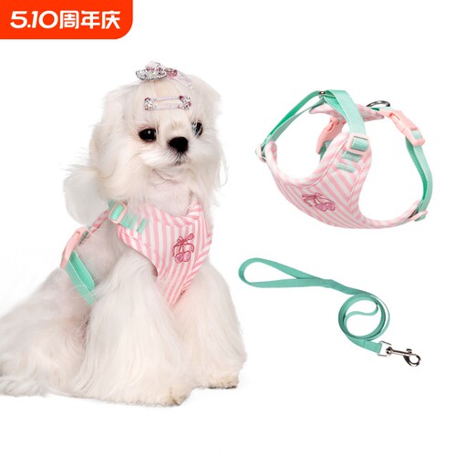 宠物背心式胸背带小狗狗牵引绳防挣脱可爱狗绳子中小型犬遛狗链子