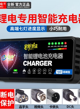 高端七灯全自动关机锂电池充电器