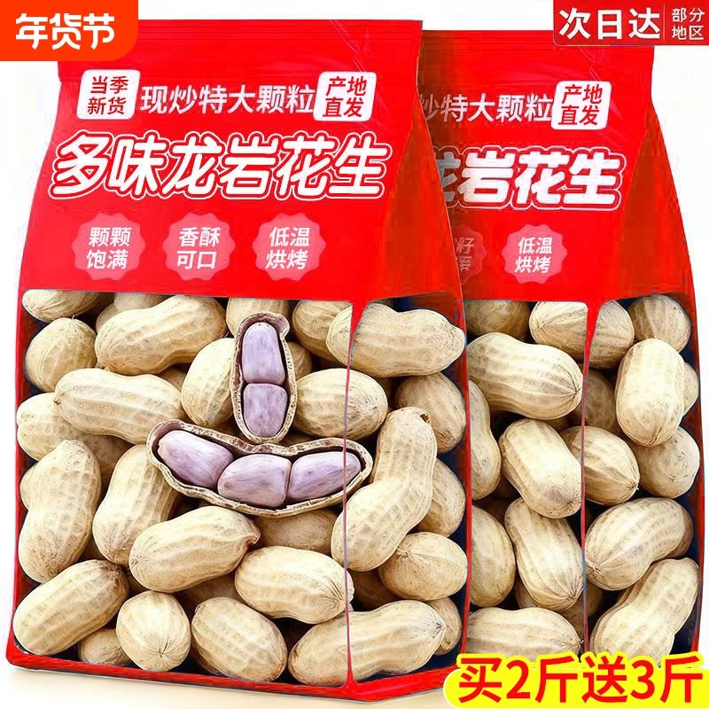 龙岩花生蒜香五香味咸干味花生米带壳炒货小零食休闲食品福建特产