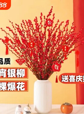 银柳真花鲜枝水培雪柳干花红梅花年宵花卉新年摆件装饰室内植物