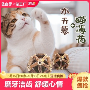 猫玩具磨牙棒木天蓼猫薄荷玲珑球逗猫棒自嗨解闷神器猫咪用品磨牙