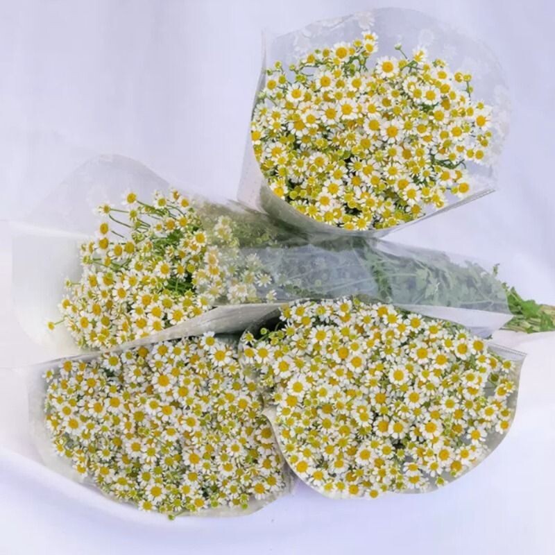 洋甘菊鲜花玫瑰花束配草云南基地直发小清新花束家用水养同城速递