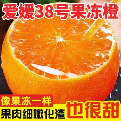 自家果园种正宗38号应季水果当季香甜薄皮橙子果冻橙保存