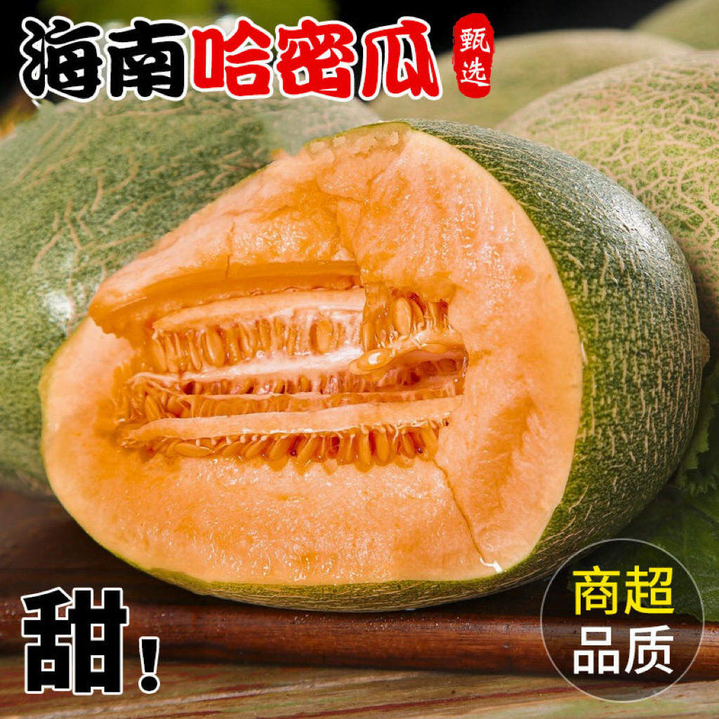 正宗海南哈密瓜爆甜新鲜现摘哈蜜瓜当季新鲜冰淇密瓜脆甜香甜多汁,水产肉类/新鲜蔬果/熟食,哈密瓜,淘宝优惠券,粉丝福利购,淘宝优惠卷