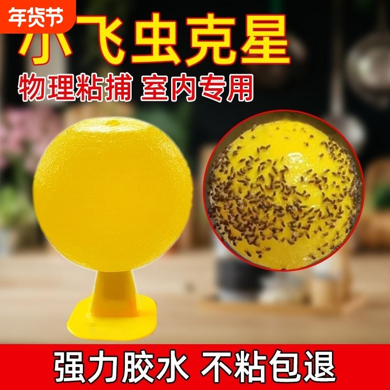 粘虫球果蝇苍蝇飞虫克星家用强力效纸无毒厨房神器防虫室内蚊子,居家日用,粘蝇纸,淘宝优惠券,粉丝福利购,淘宝优惠卷