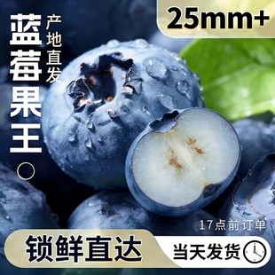 包邮 云南蓝莓王高山花香新鲜水果当季 整箱特大果L25孕妇纯甜大盒