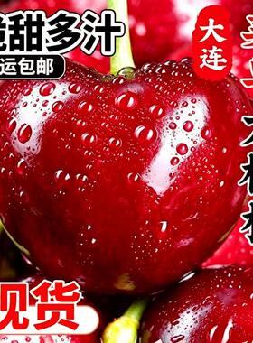 正宗大连美早大樱桃当季现摘车厘子新鲜礼盒装4j巨无霸源头送礼