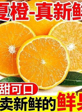 新鲜夏橙高山夏橙酸甜爆汁新鲜当季孕妇水果榨汁多汁现摘现发包邮