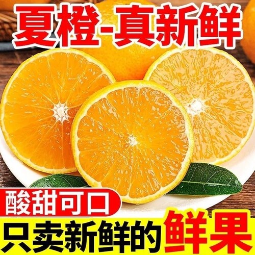 新鲜夏橙高山夏橙酸甜爆汁新鲜当季孕妇水果榨汁多汁现摘现发包邮