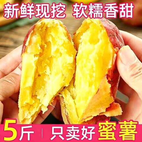 新鲜现挖沙地黄心蜜薯软糯香甜