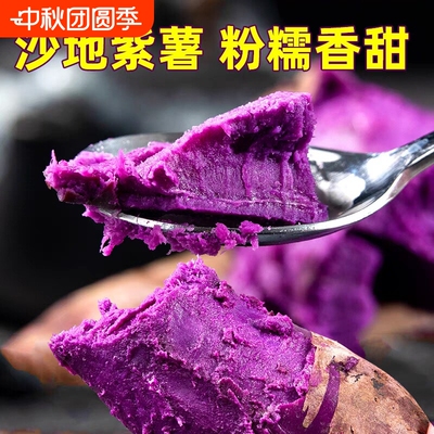 紫薯新鲜板栗红薯番薯地瓜蜜薯糖心山芋烟薯香薯蔬菜农家自种沙地