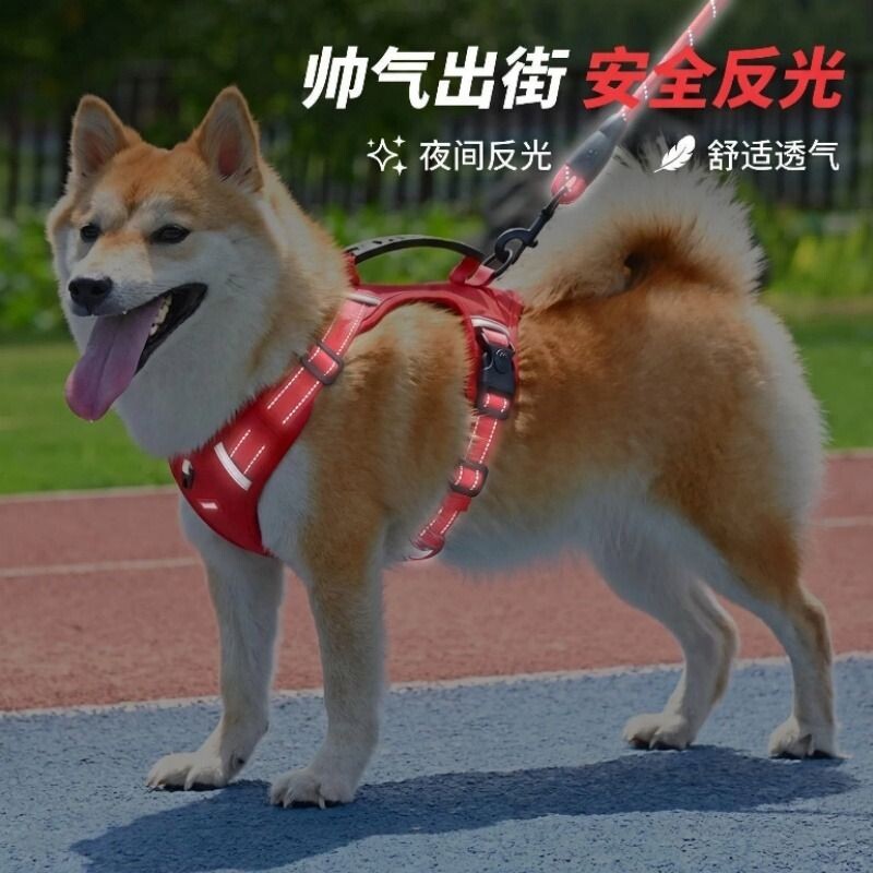 宠物反光胸背带遛狗绳大狗柯基泰迪中型犬背心式防爆冲夜间手提