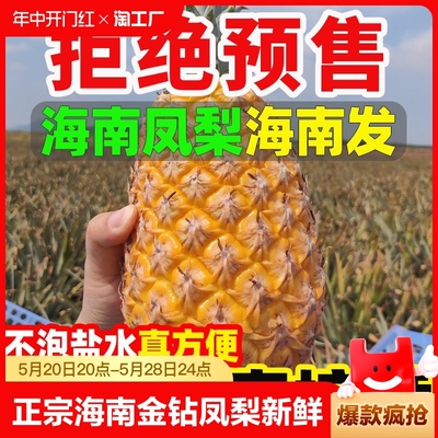 正宗海南金钻凤梨新鲜新鲜水果10斤菠萝风梨当季香水菠萝整箱包邮