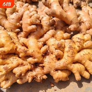 云南农家自种山地小黄姜生姜批发老姜月子姜土姜带泥