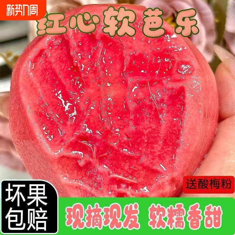 福建草莓红心番石榴新鲜软糯红心芭乐胭脂红孕妇低糖低卡水果包邮