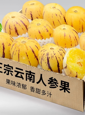 云南人参果水果大果黄肉新鲜石林果树上熟大圆果整箱鲜果现摘