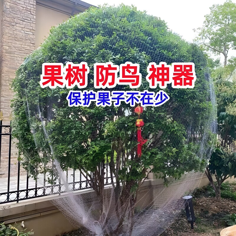 防鸟网果园专用|超2000次加购图片