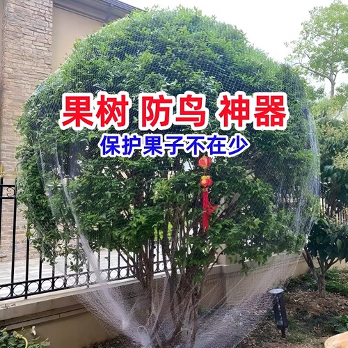 防鸟网果园专用|超2000次加购