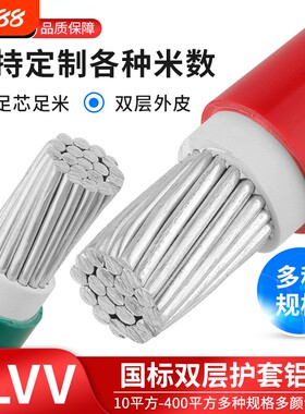 国标BLVV双胶铝线纯白铝10-300