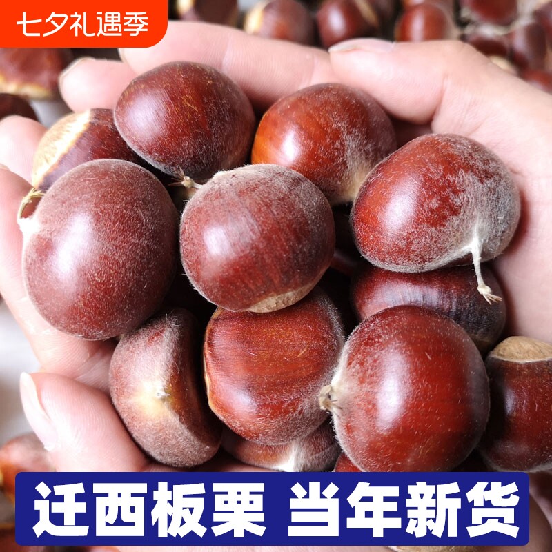 3斤正宗野生新鲜板栗迁西燕山唐山河北油栗特产小栗子去皮带壳