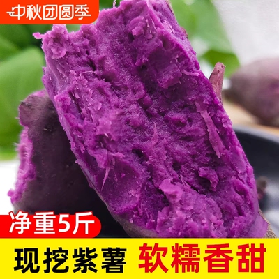 老农自种现挖糖心沙地紫薯
