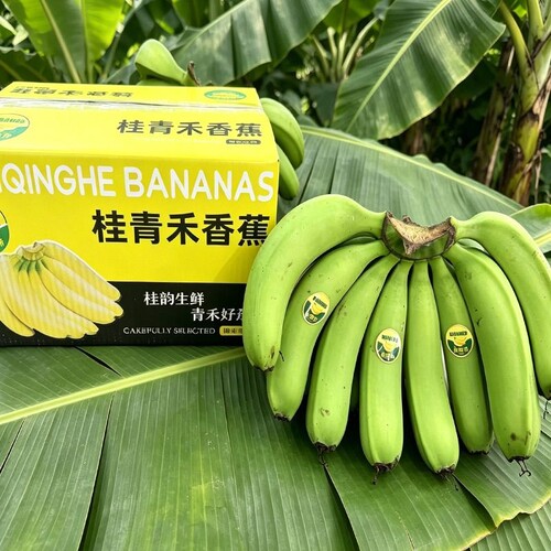 高山香蕉新鲜威廉斯香蕉当季新鲜水果薄皮自然熟整箱批发包邮
