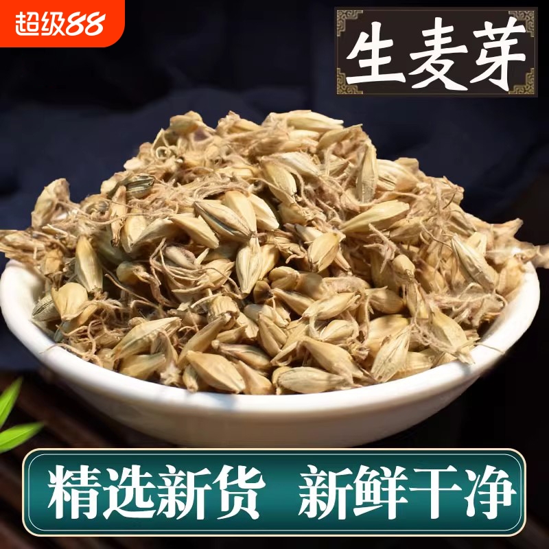 当季生麦芽中药材正品麦芽茶大麦