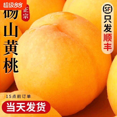 【只发顺丰】砀山黄桃！