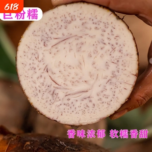 广西荔浦新鲜大芋头槟榔芋现挖现发毛芋头粉糯丝滑香芋种植软糯