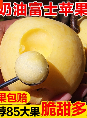 黄金奶油富士苹果山东烟台栖霞白色冰糖心新鲜水果牛奶5当季整箱