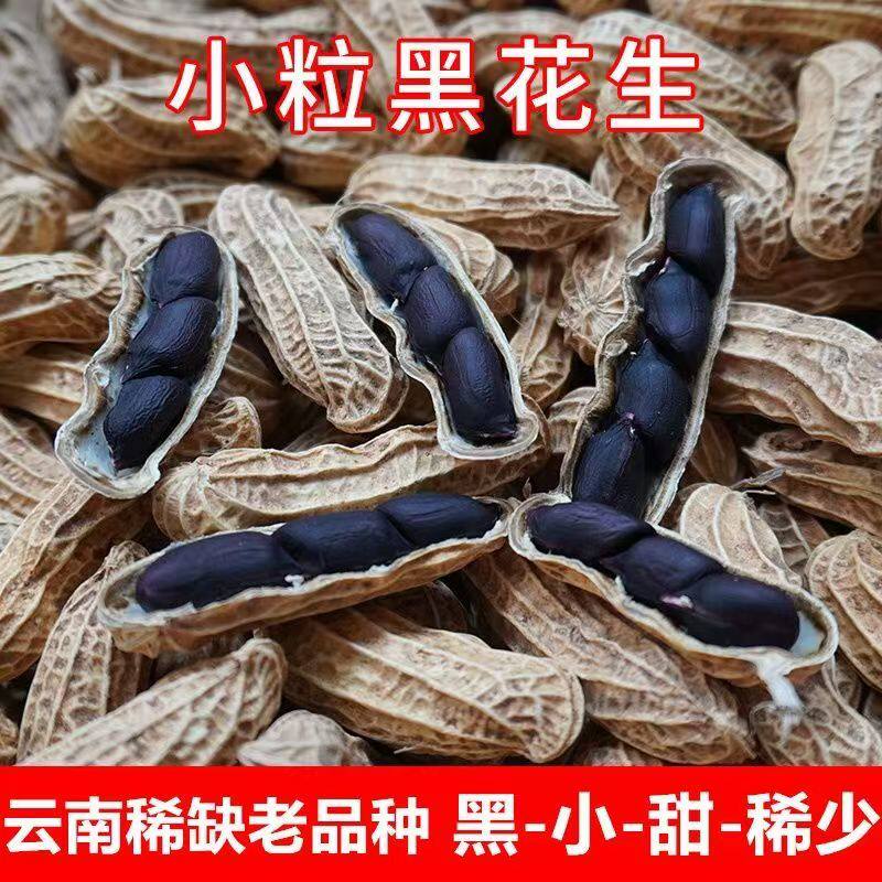 云南富硒黑花生带壳2025年新货晒干特产黑皮花生米老品种七彩