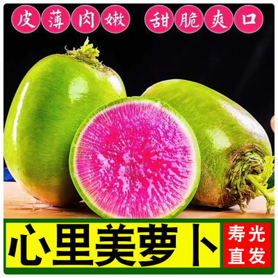 新鲜心里美萝卜雕刻酒店用品