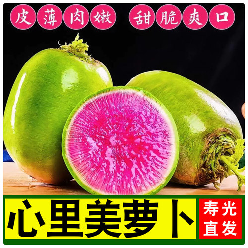 新鲜心里美萝卜雕刻酒店用品