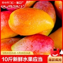 海南贵妃芒10斤新鲜水果热带特产红金龙芒果青忙1斤大果自提 当季